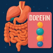 단백질 많은 음식