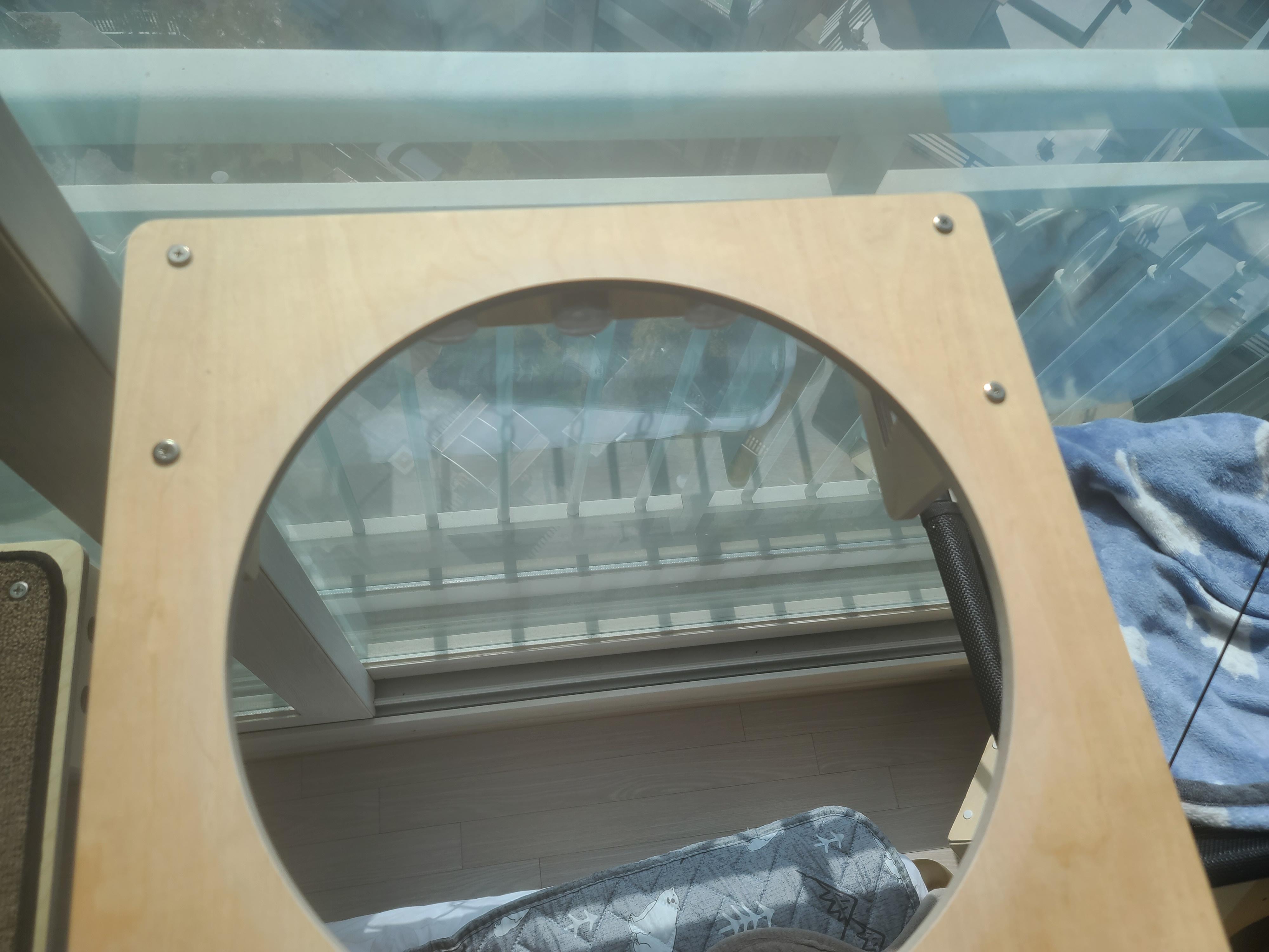 요미의 최애 투명캣볼이..ㅠ_ㅠ(feat. 너무 귀여운 요미)