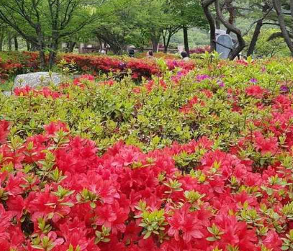 대천 가볼만한곳 베스트10