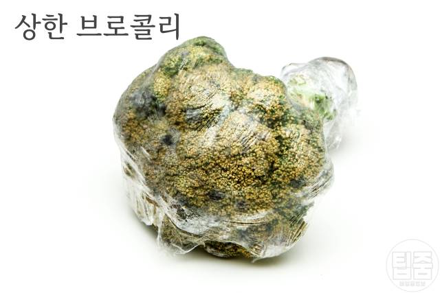 브로콜리 보관법 보관기간
