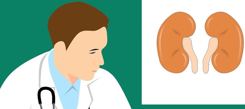 신장과 의사 사진