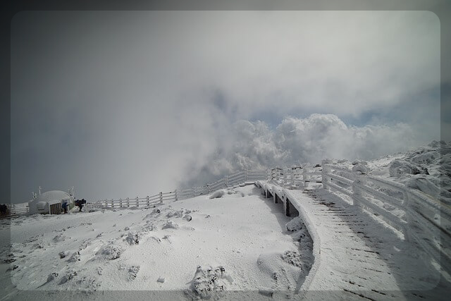 새해 맞이 한라산 야간 탐방예약안내 이용요금