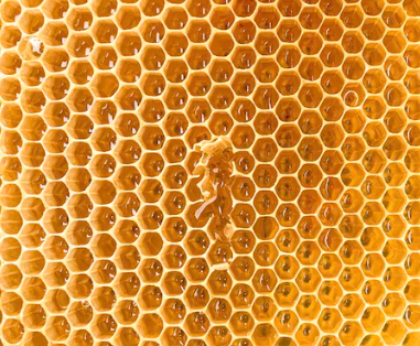 연말 연초 선물에 대하여 알아보기