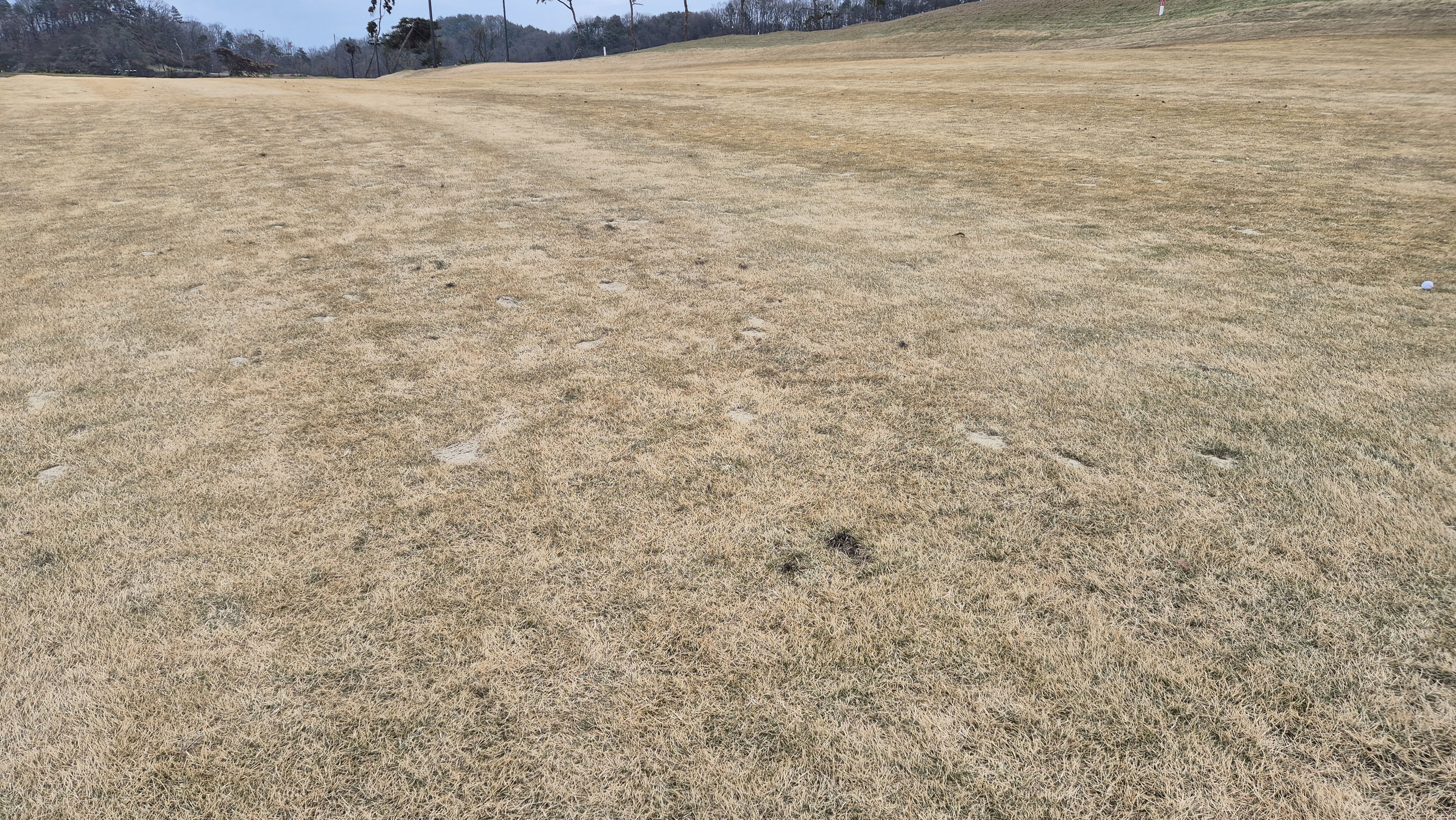 힐데스하임 레이크-힐 코스 코스 난이도