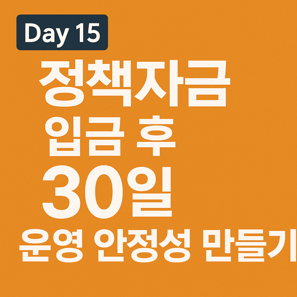 정책자금 입금 후 30일반드시 지켜야 하는 실전 운용 전략(초기 리스크 완벽 관리)