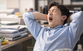 스프링 피버 뜻