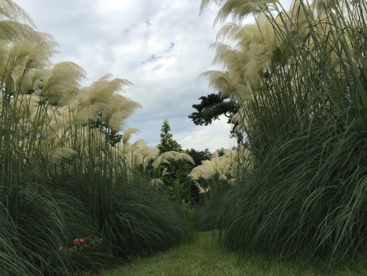 10월 가을 걷기 좋은 여행지 추천 BEST 07 청산수목원 순천만 국가정원 제주 비밀의 숲 포함