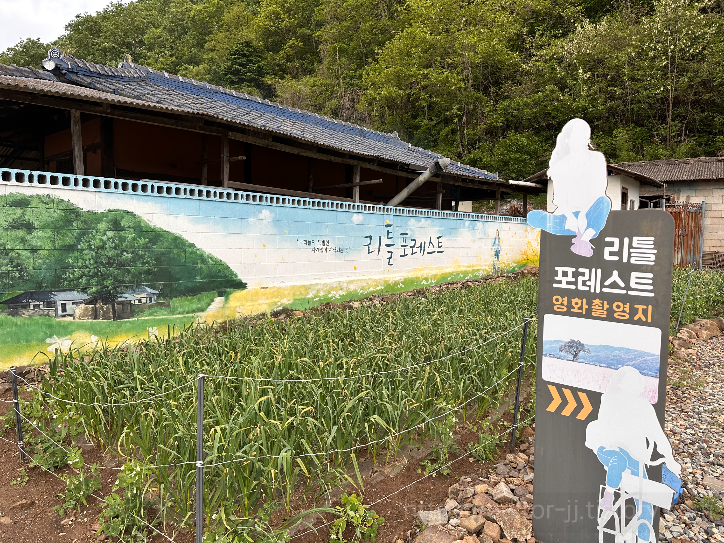 영화[리틀포레스트]촬영지 주변경관 : 촬영지로 가는 길을 안내하는 입간판들