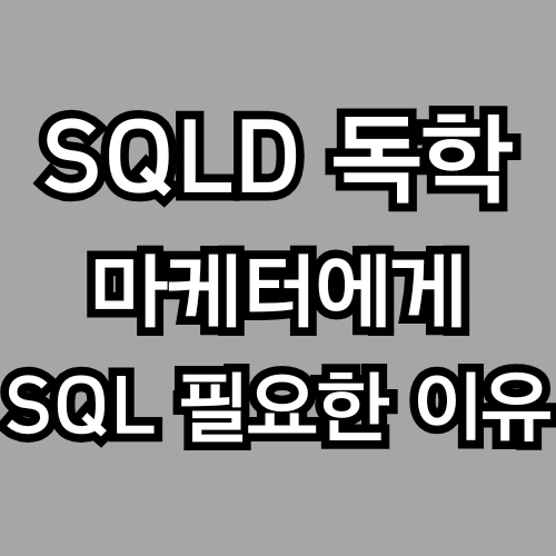 마케터인 내가, SQLD 자격증은 대체 왜 따야 할까? (데이터분석 기초, SQL 독학)