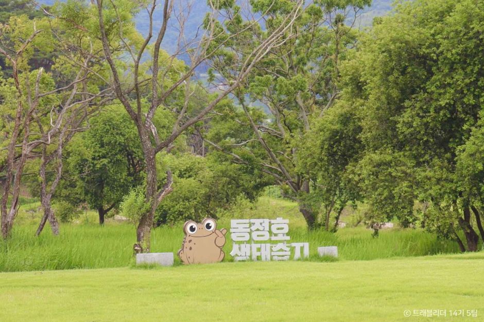 동정호