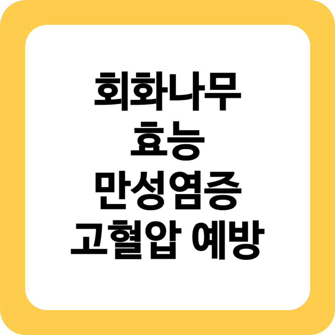 회화나무 효능