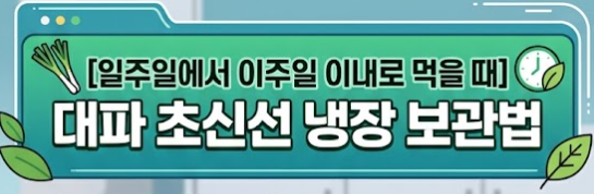대파 보관법
