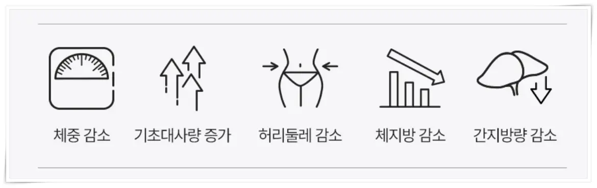 푸응 나이트버닝 프로 효과