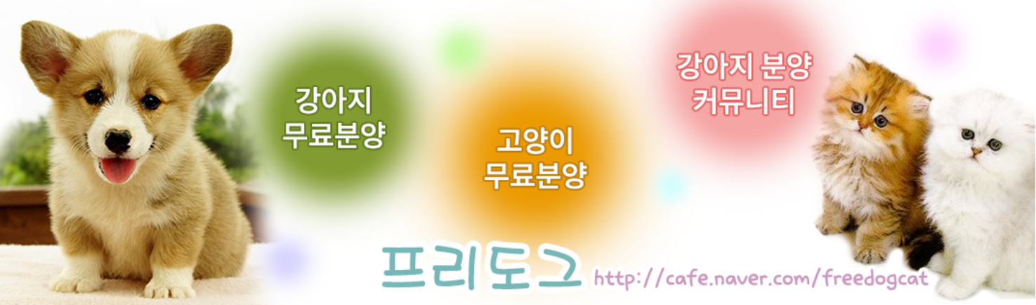 프리도그-네이버-카페-배너