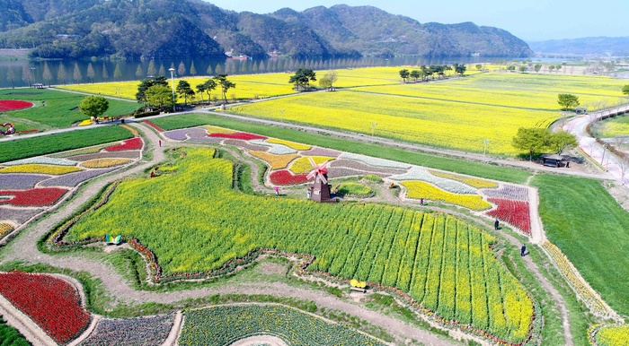 생생정보 창녕 유채꽃 우포늪 안리마을 여행