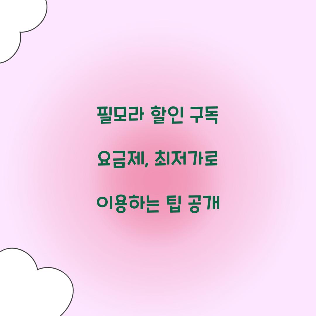 필모라 할인 구독 요금제