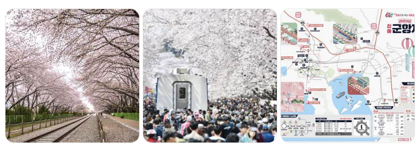 2025 진해 군항제