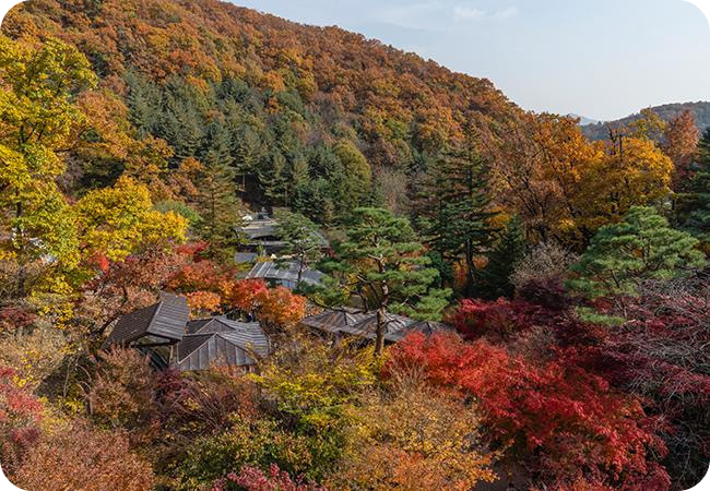 화담숲 이미지/출처: 화담숲 홈페이지