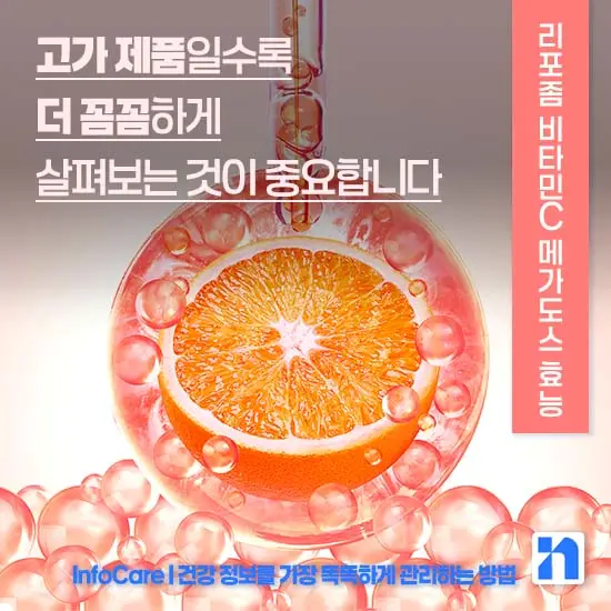 리포좀 비타민C 메가도스 효능