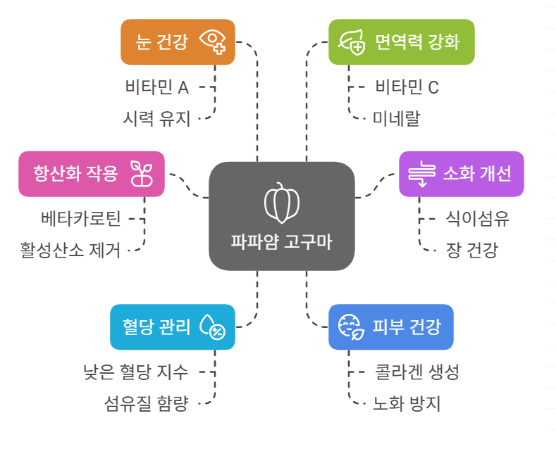 파파얌 고구마 효능