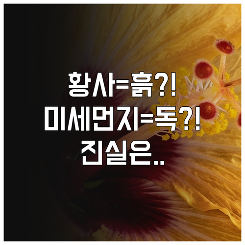 황사는 자연산 흙먼지 미세먼지는 인공..