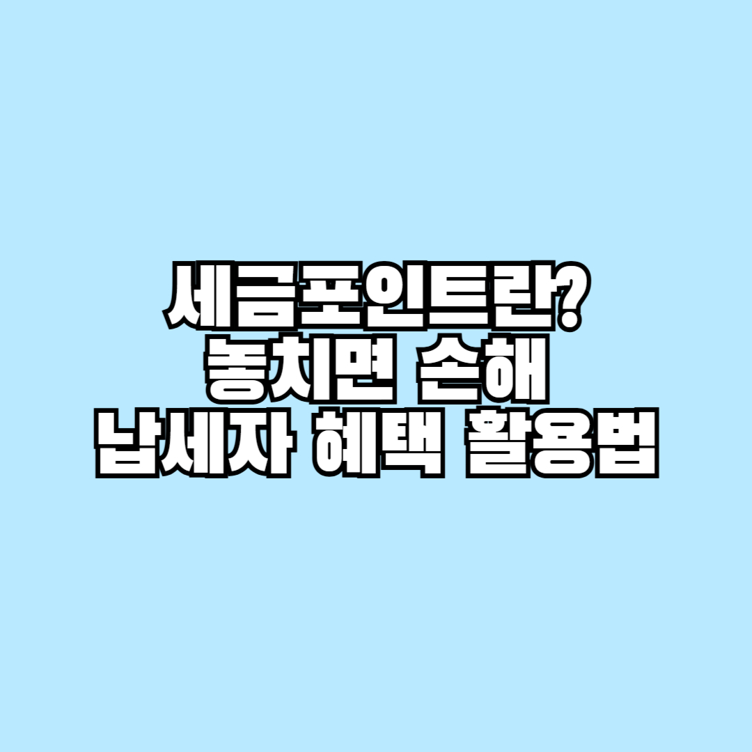 세금포인트란 놓치면 손해인 납세자 혜택 100% 활용법