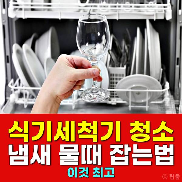 식기세척기 청소 물때 냄새 제거