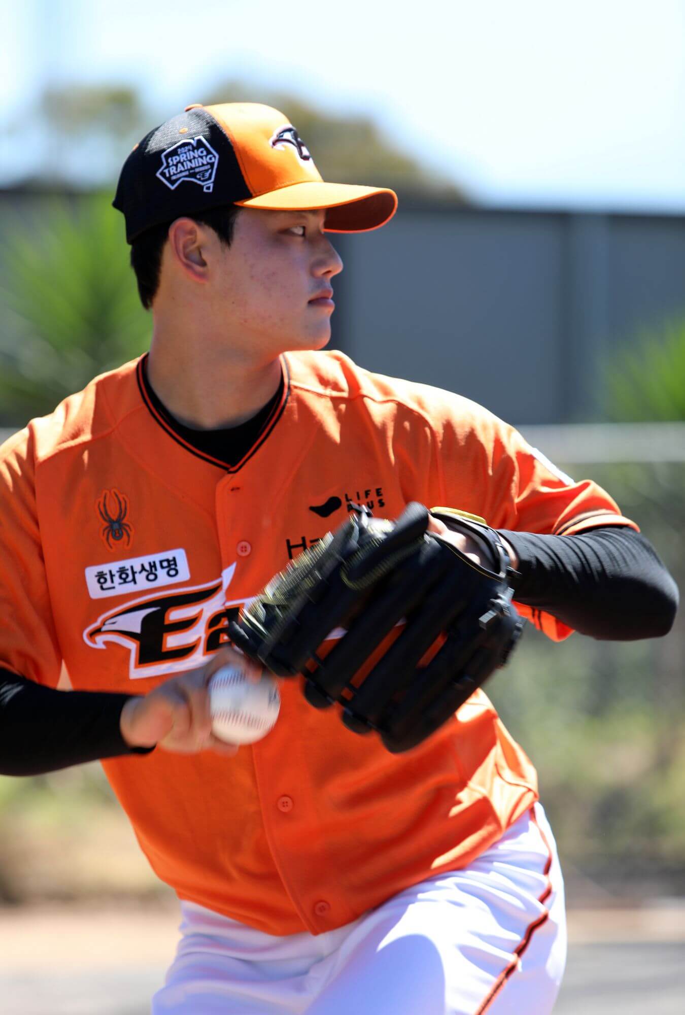 2024 한화 이글스 티켓 할인 예매, 무료 주차, 좌석 종류 및 특징, 경기일정 및 결과