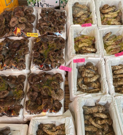 자연산 버섯가게 산드레