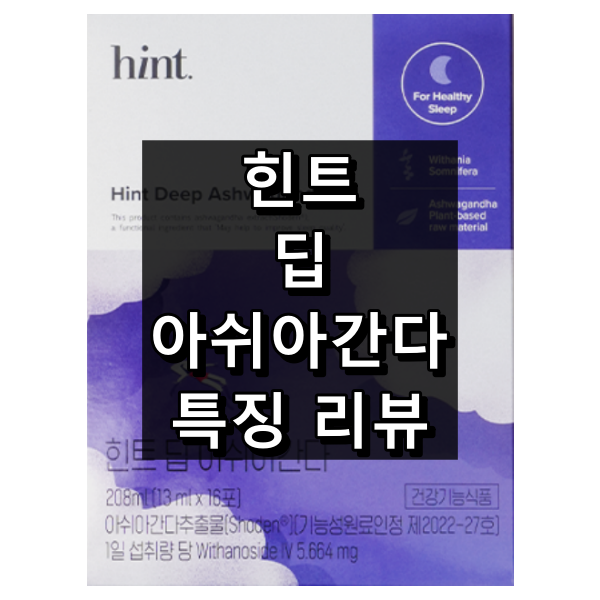 힌트 딥 아쉬아간다 대표 이미지