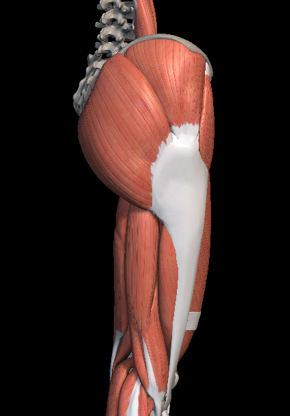 햄스트링 스트레칭 방법