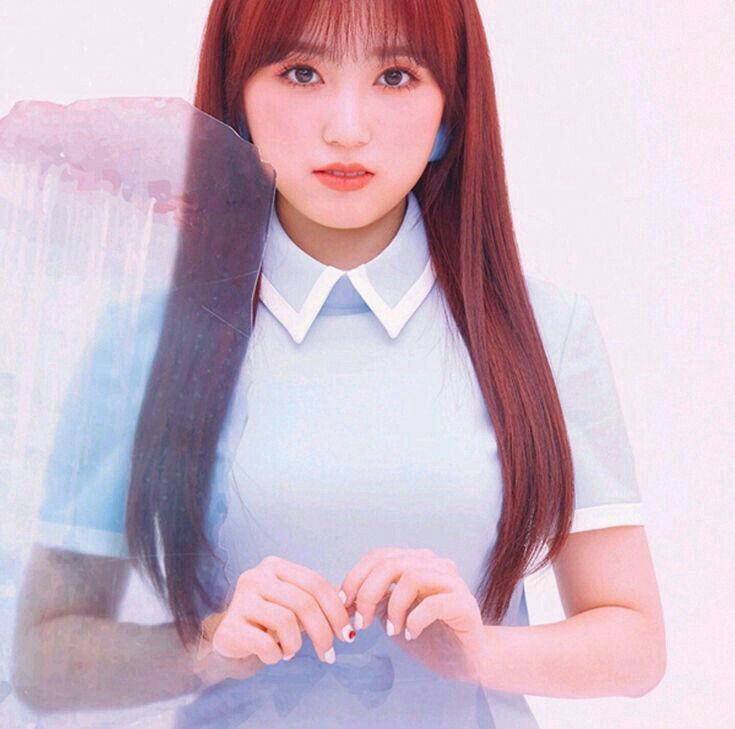 아이즈원 야부키나코 아이즈원 야부키나코