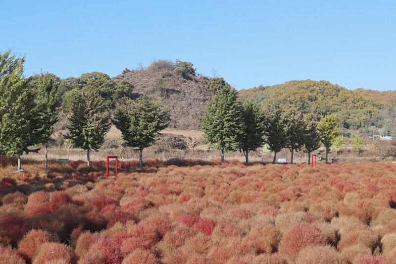 연천 가볼만한곳