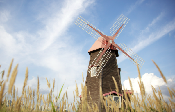 인천 소래습지 생태공원에서 배우는 자연과 사람의 관계