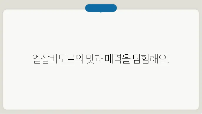 엘살바도르 음식, 인구, 특징