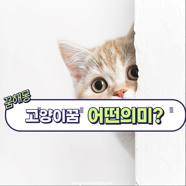 🐱 봄날 포근한 '고양이 꿈' 20가지 해몽 총정리 / 고양이가 쥐를 쫓아다는 꿈 / 고양이가 쥐를 잡는 꿈 / 고양이와 개가 싸우는 꿈