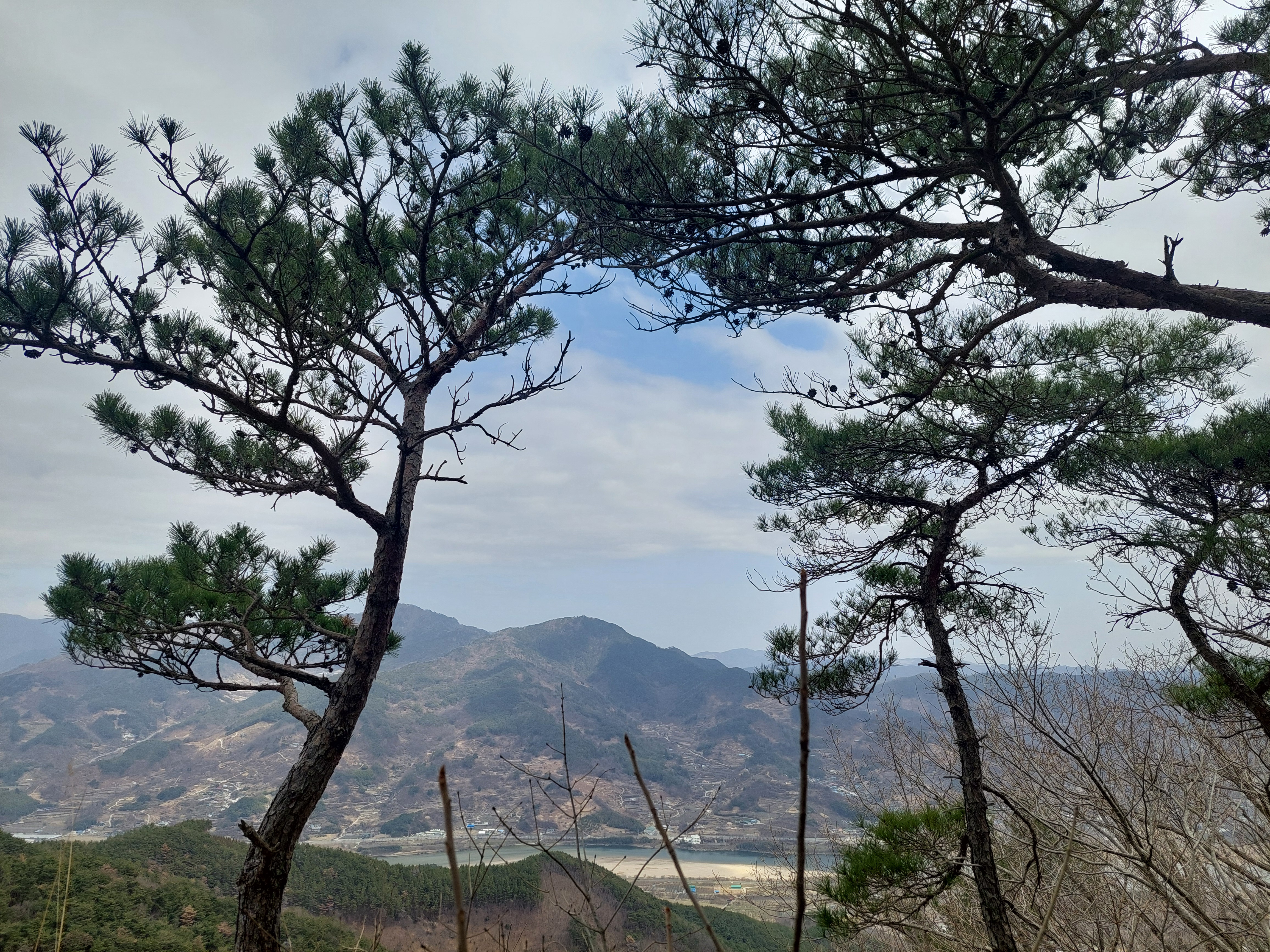 쫓비산