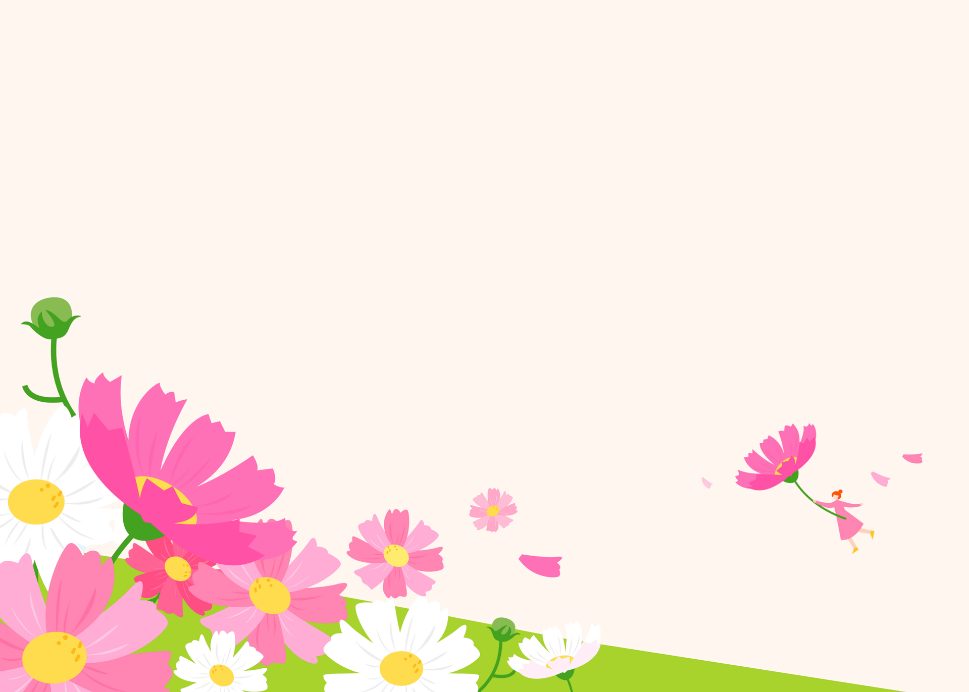 이천 호법 코스모스 꽃축제