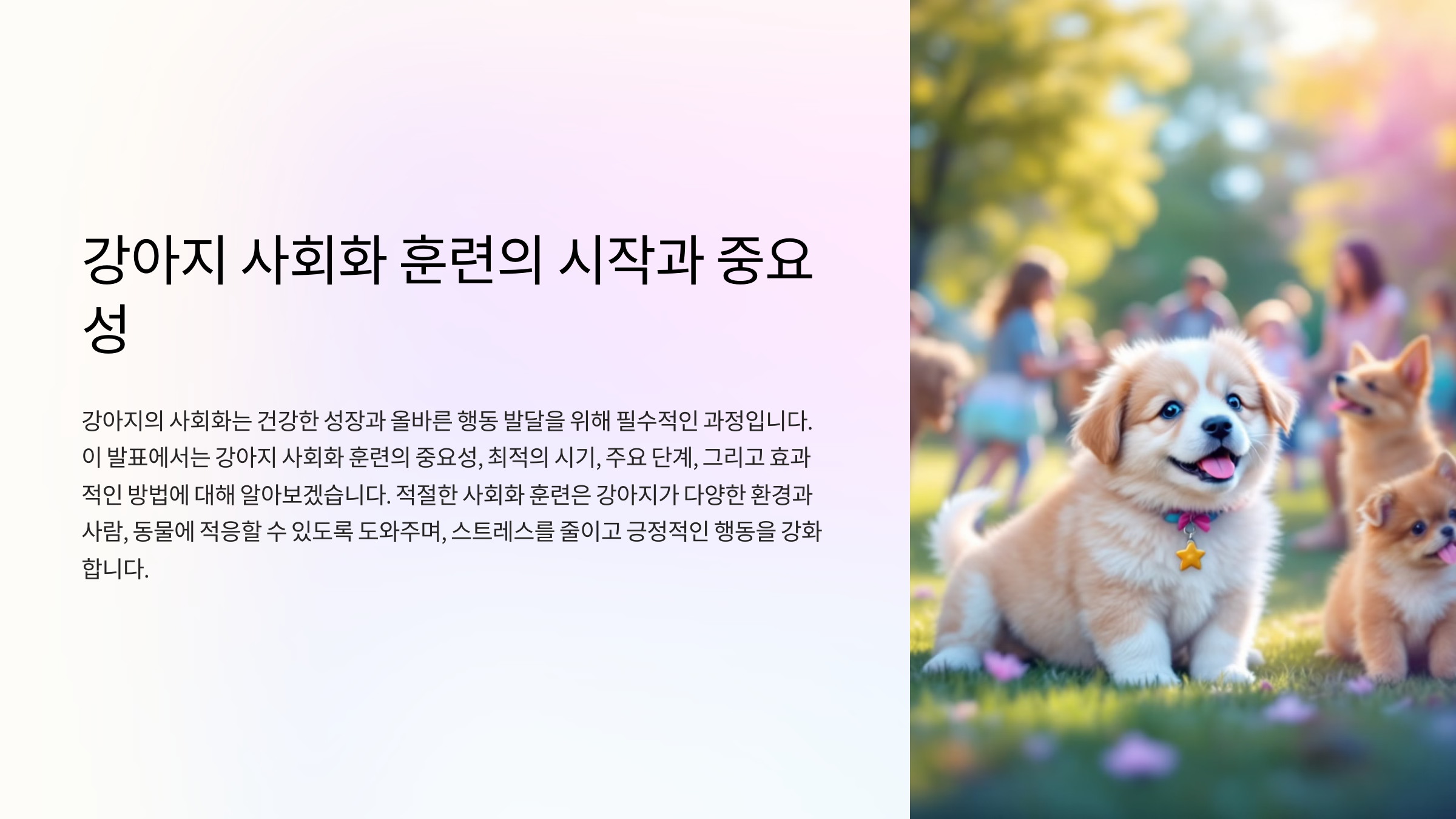 강아지 사회화 훈련, 언제 시작해야 효과적일까?