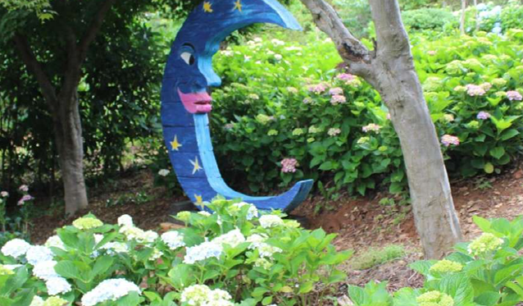 팜카밀레 허브농원