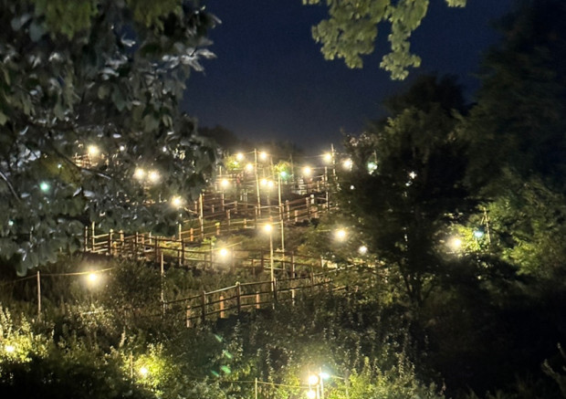 하늘공원-억새축제-서울정원박람회