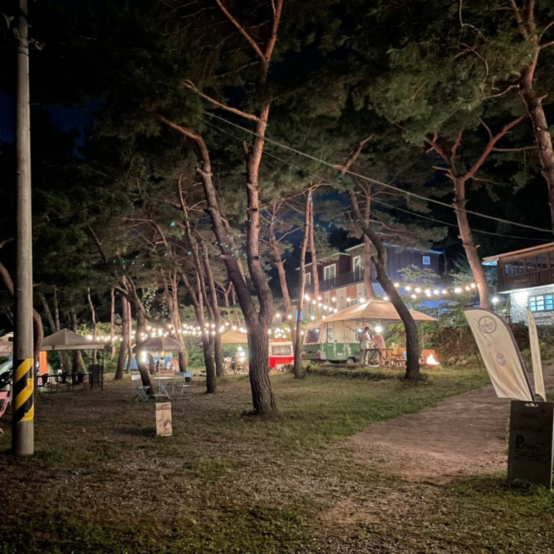 춘천 황금박쥐캠핑장 소개