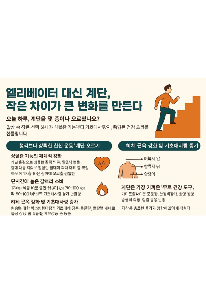 1. 계단으로 만드는 건강한 하루