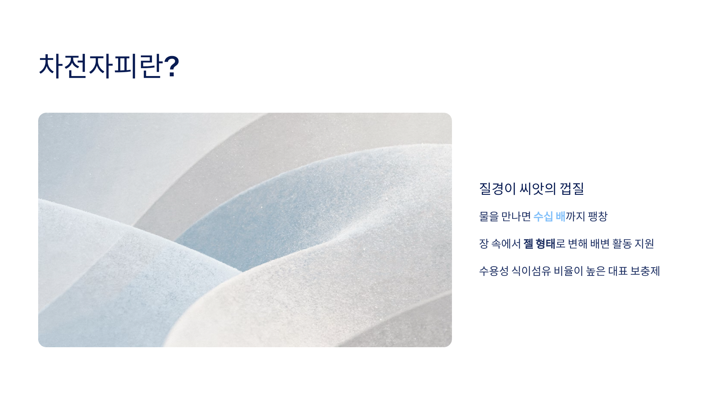 차전자피의 효능 차전자피 먹는법