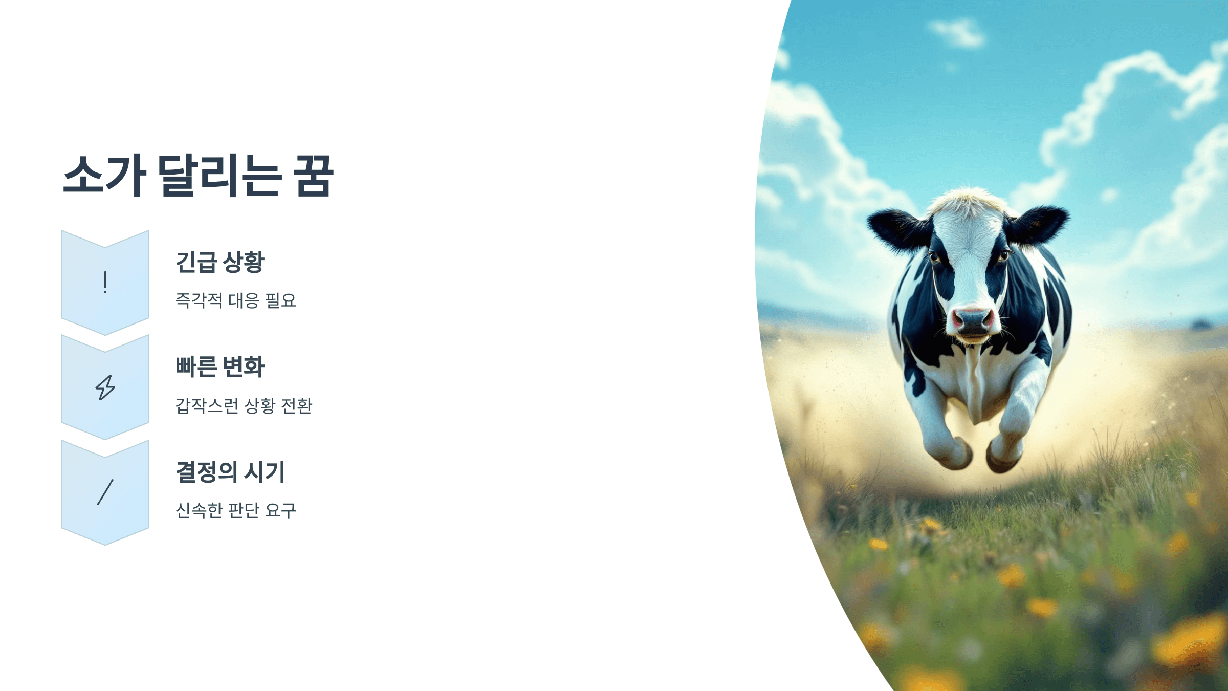 소 사진입니다.