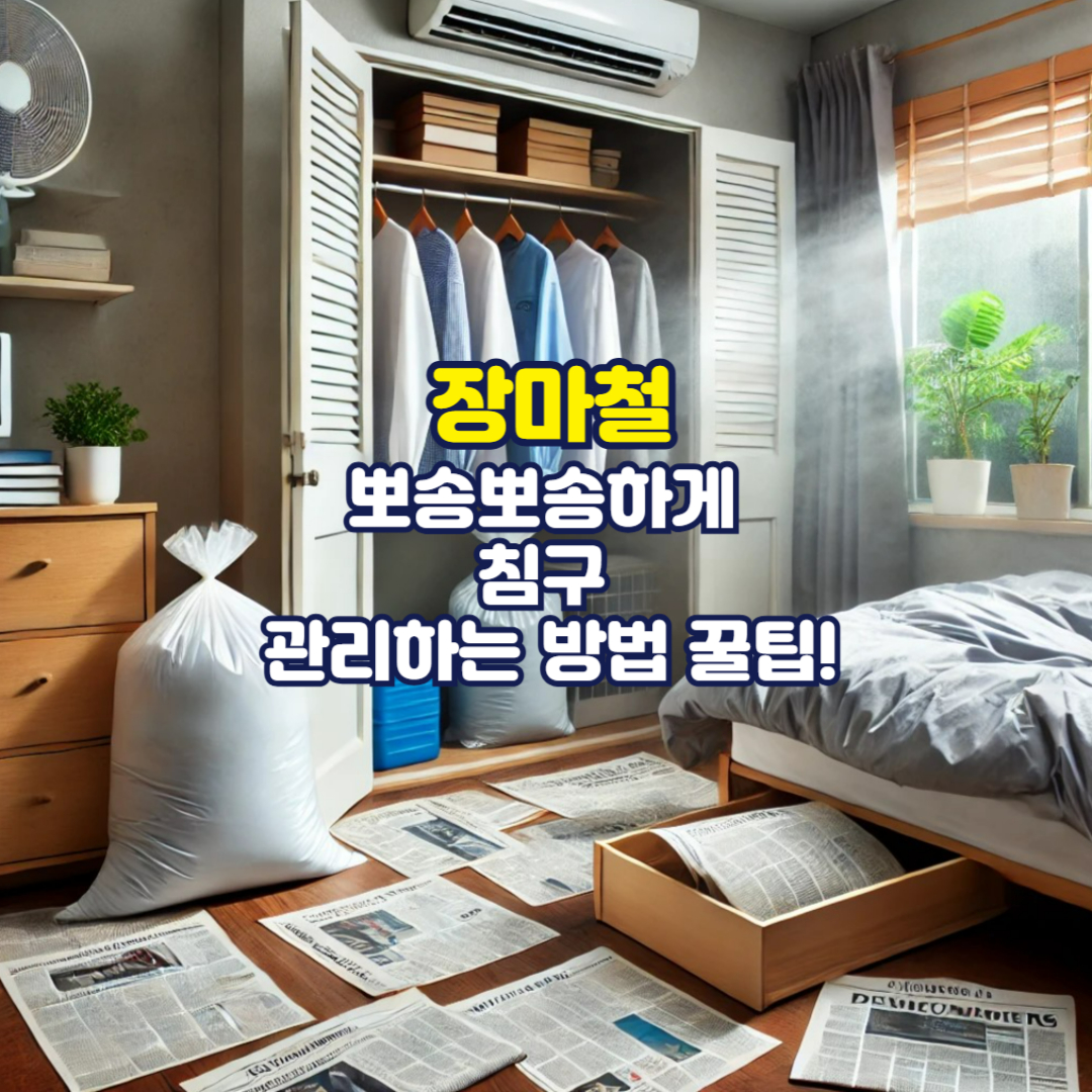 장마철 뽀송뽀송하게 침구 관리하는 방법 꿀팁!