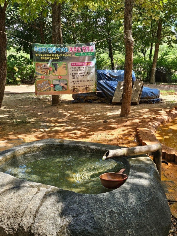 자연 속 힐링! 안동 천년숲 황토길 맨발걷기 체험 후기 관련 사진