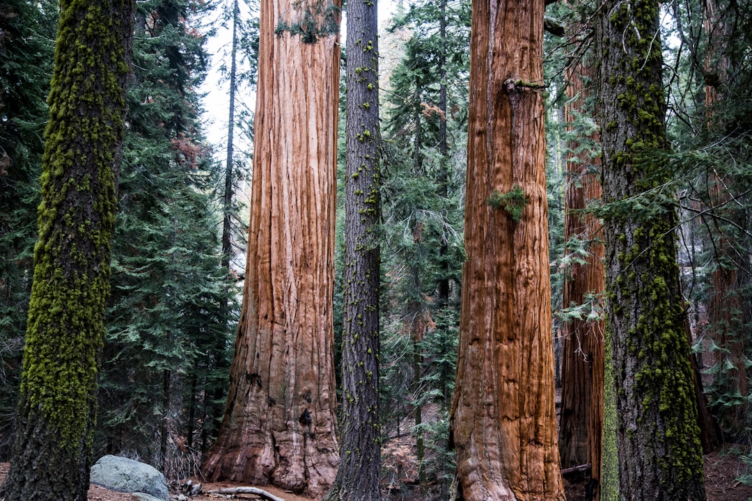 National Park