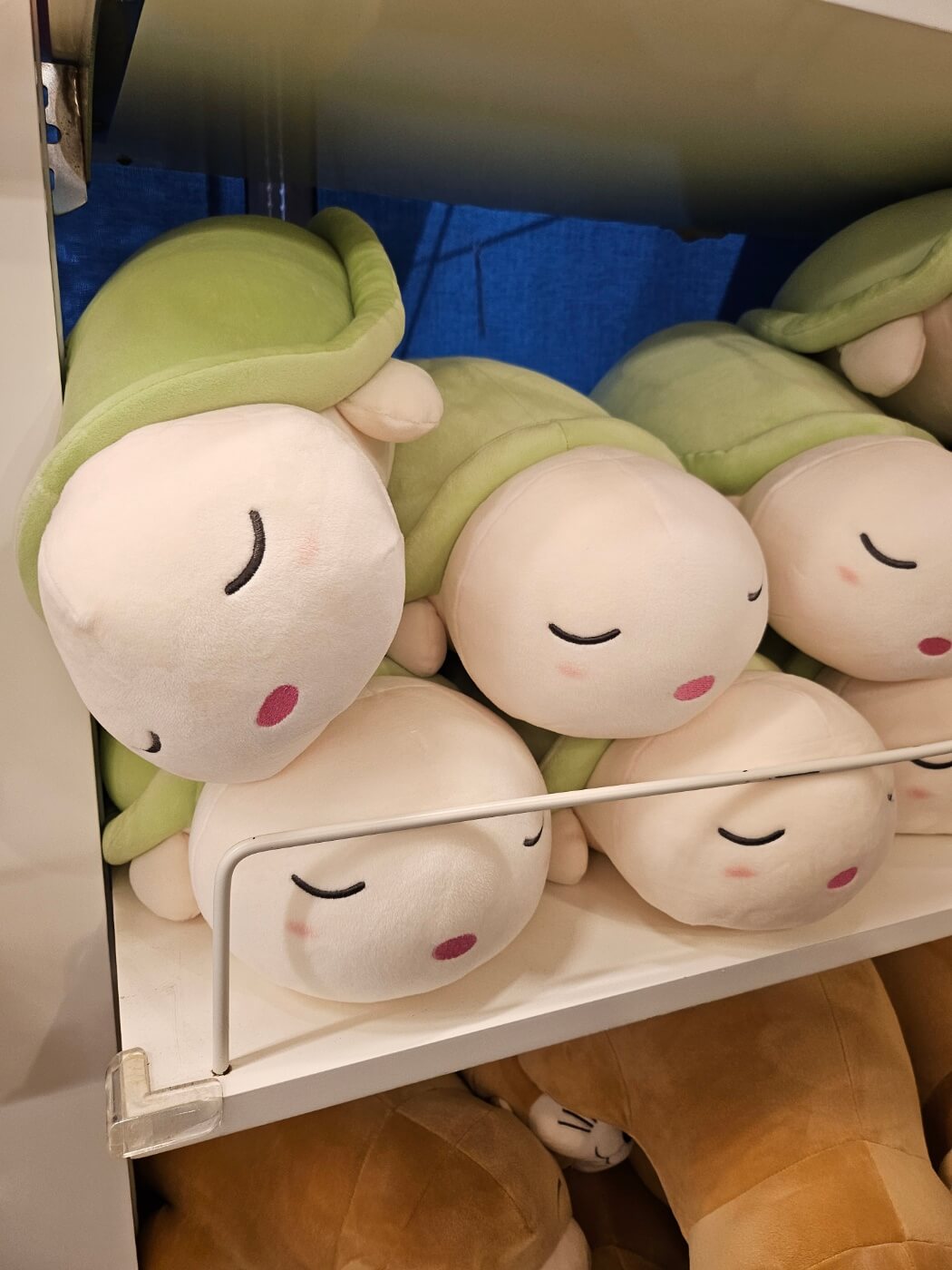 아쿠아플라넷-일산-기념품