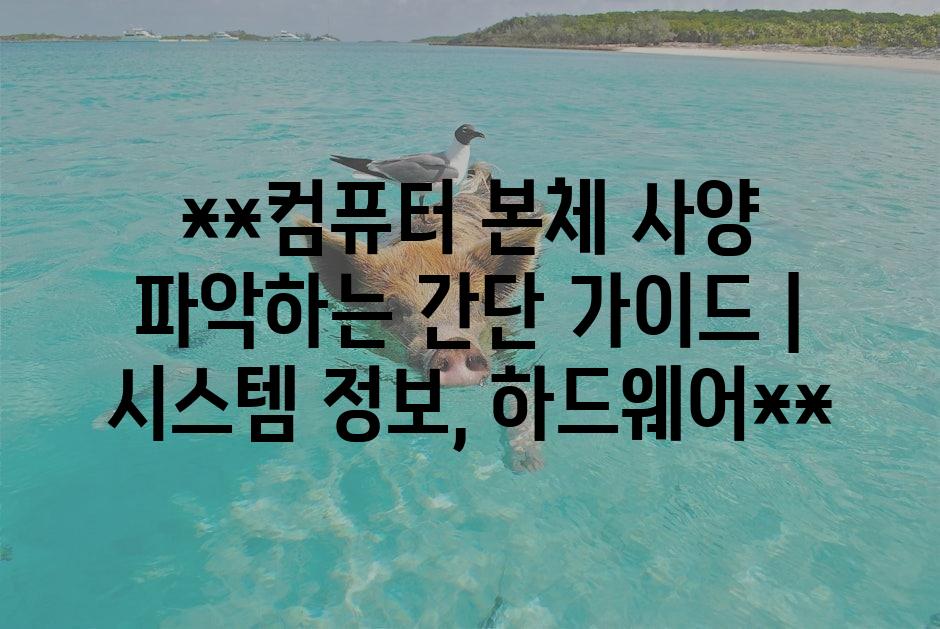 샘플 (1)